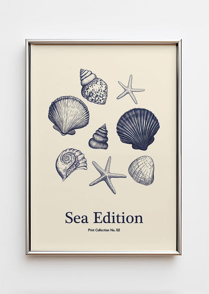 Poster mer d'une collection de coquillages et d’étoiles de mer dans un cadre chromé
