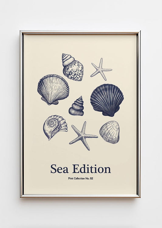 Poster mer d'une collection de coquillages et d’étoiles de mer dans un cadre chromé
