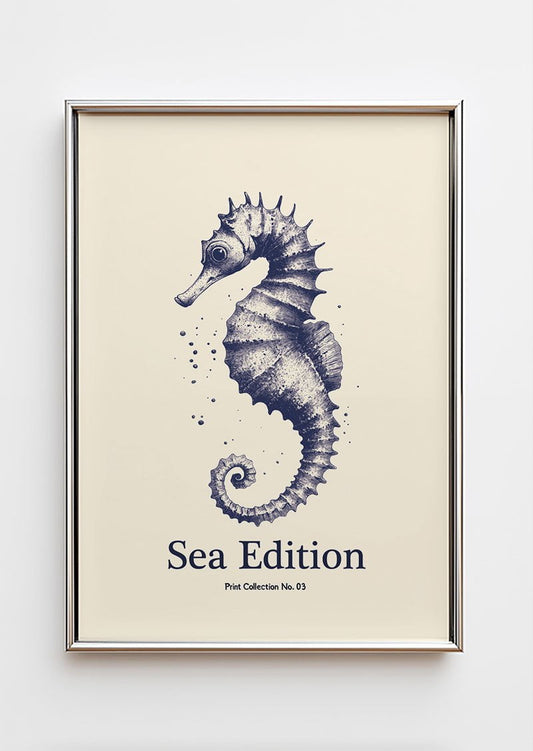 Poster mer en gravure illustration d'un hippocampe dans un cadre chromé