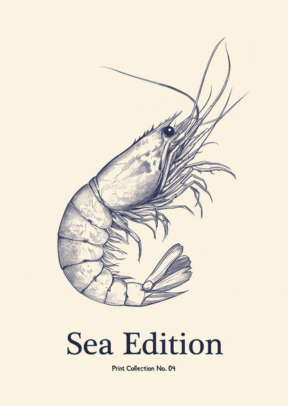 Affiche mer représentant une crevette bleue en style gravure sur fond crème