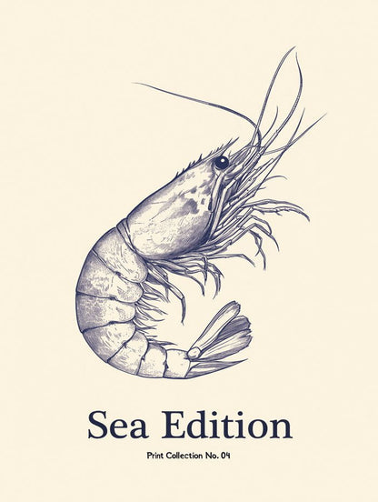 Poster mer et plage crevette en taille 30x40 cm