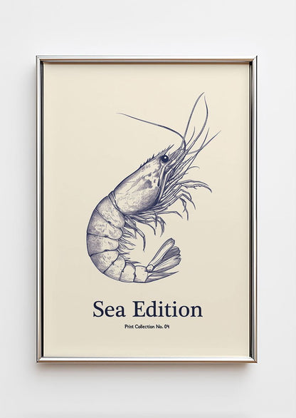 Poster mer illustrant une crevette bleue dans un cadre chromé