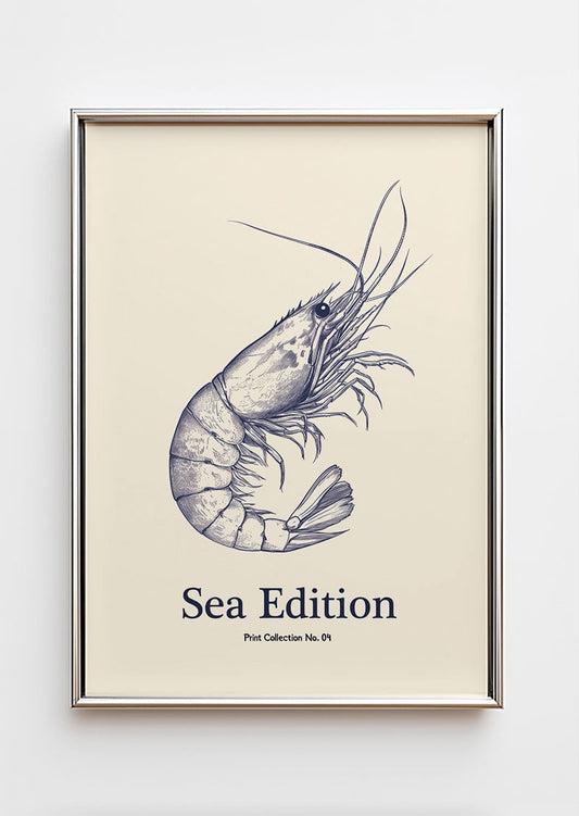 Poster mer illustrant une crevette bleue dans un cadre chromé