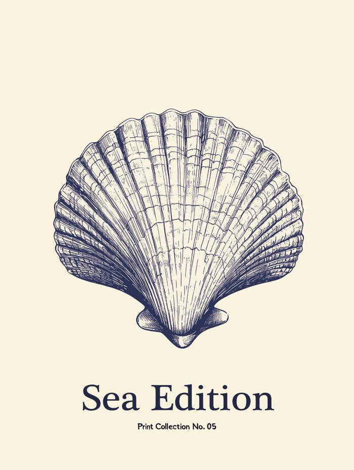 Poster mer et plage sea edition seashell format 30x40 cm