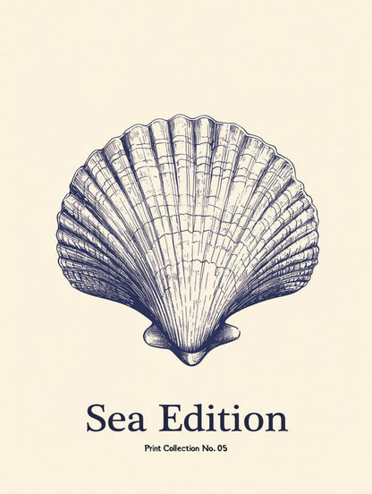 Poster mer et plage sea edition seashell format 30x40 cm
