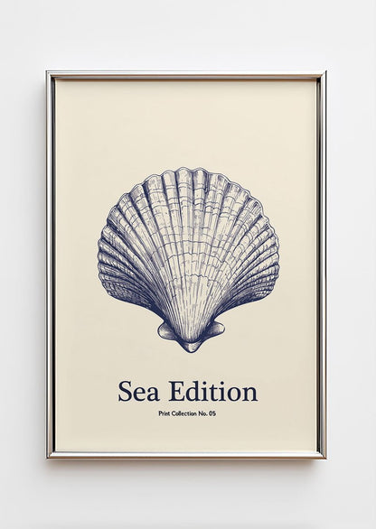 Poster mer illustrant un coquillage en gravure, dans un cadre chrome