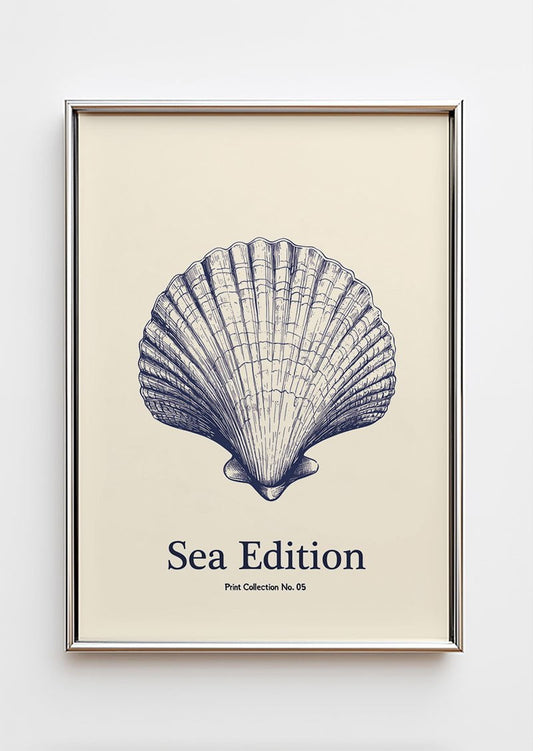 Poster mer illustrant un coquillage en gravure, dans un cadre chrome