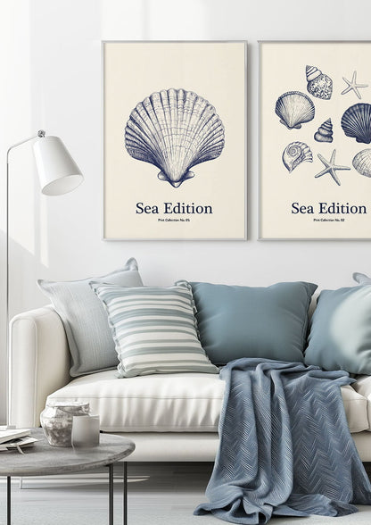 Duo d'affiche mer représentant des coquillages, mises en situation sur le mur d'un salon