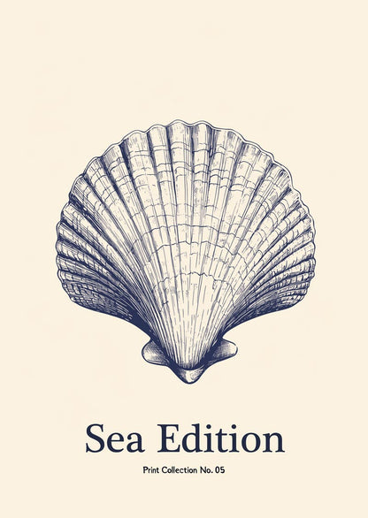 Affiche mer représentant une coquille saint jacques dans un style de gravure, en bleu sur fond crème