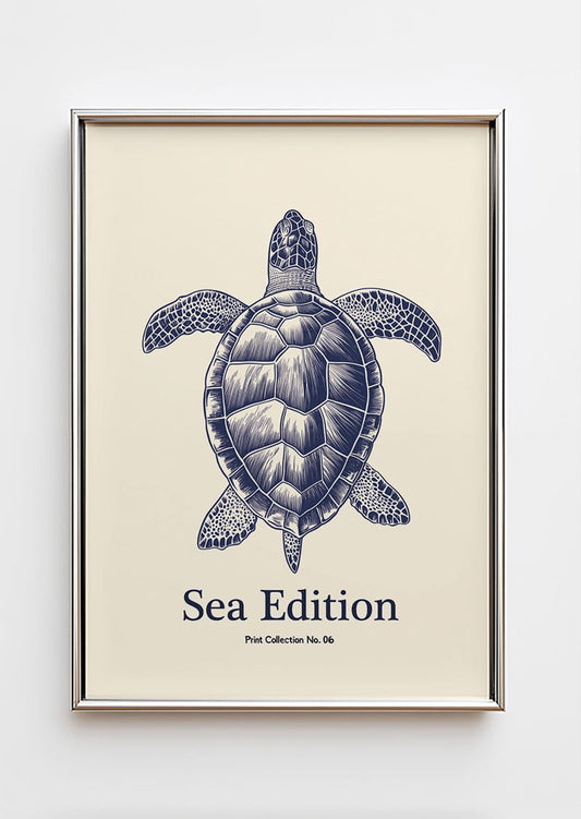 Poster mer illustration d'une tortue en style gravure, en bleue dans un cadre  chromé