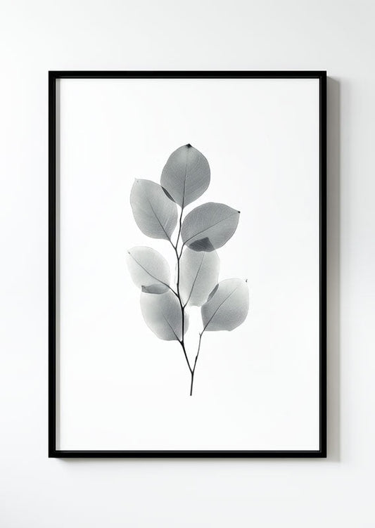 poster d'un dessin Illustration d'une branche d'eucalyptus, dans un cadre noir.