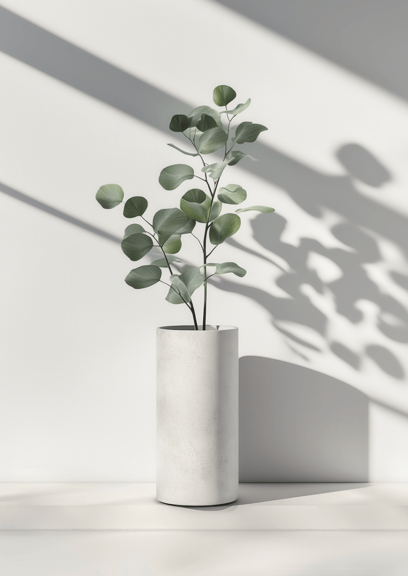 Affiche murale botanique d’une photo d'eucalyptus dans un pot en béton lissé, posé sur le sol.