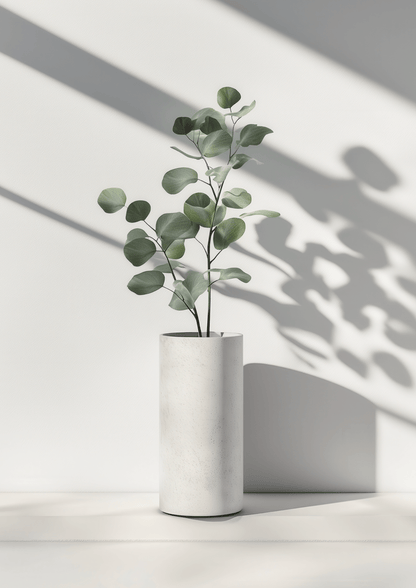 Affiche murale botanique d’une photo d'eucalyptus dans un pot en béton lissé, posé sur le sol.