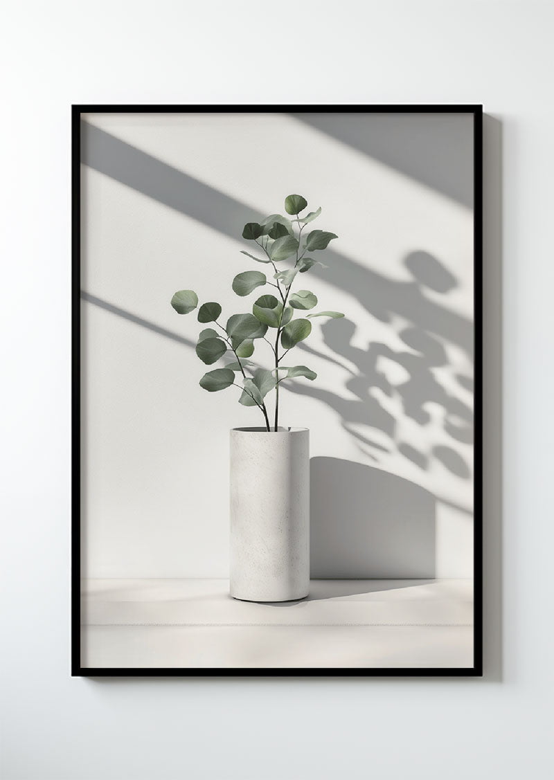 Eucalyptus Série 3