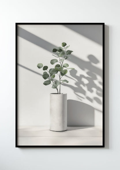 Eucalyptus Série 3