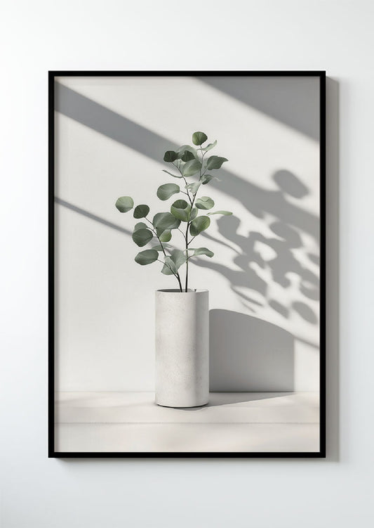 Eucalyptus Série 3