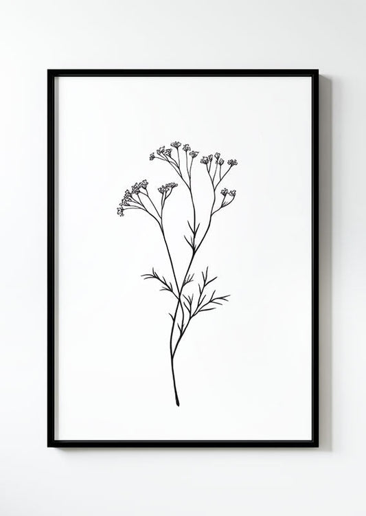 Illustration botanique d'une branche de gypsophile, en noir et blanc dans un cadre noir
