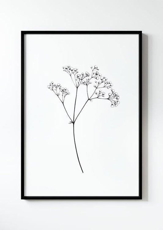 Poster d'un dessin de gypsophile en noir et blanc dans un cadre noir