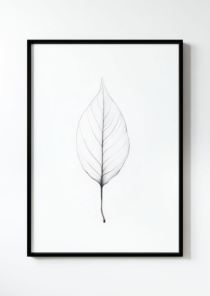 poster illustrée d'une feuille en transparence, dans un cadre noir.