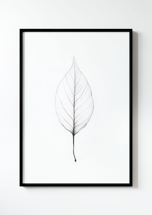 poster illustrée d'une feuille en transparence, dans un cadre noir.