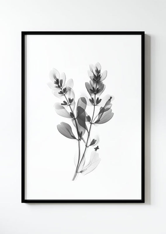 Poster florale et botanique en noir et blanc d'une branche eu rayon X dans un cadre noir.
