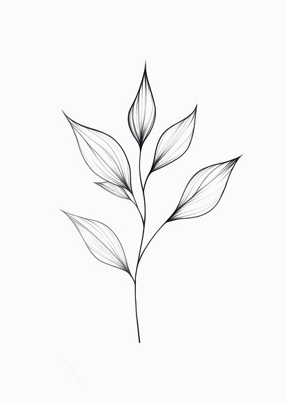 Illustration botanique en noir et blanc d'une branche de feuilles tout en finesse