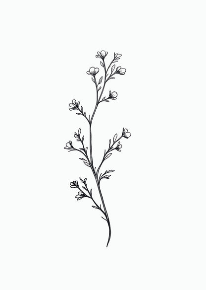 Affiche botanique minimaliste en noir et blanc d'une branche avec des bourgeons.