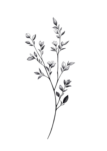 Illustration botanique noir et blanc branche fine de feuilles et de bourgeons.