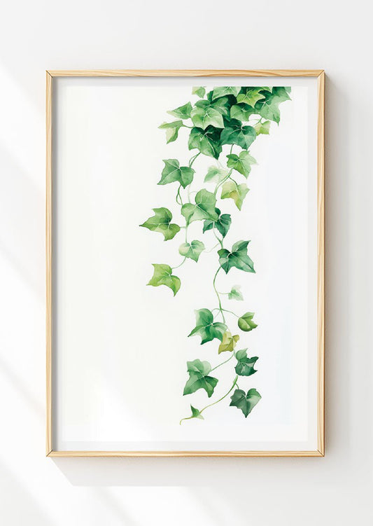 Lierre aquarelle