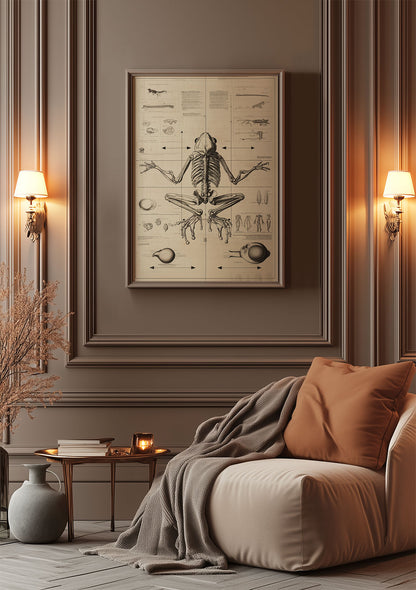 Mise en situation dans un salon de l'affiche cabinet de curiosités du schéma de grenouille.
