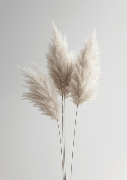Photographie minimaliste de trois branches d'herbes de pampa sur un fond gris clair.