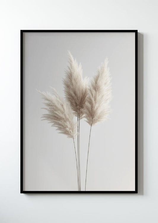 Photographie de pampas