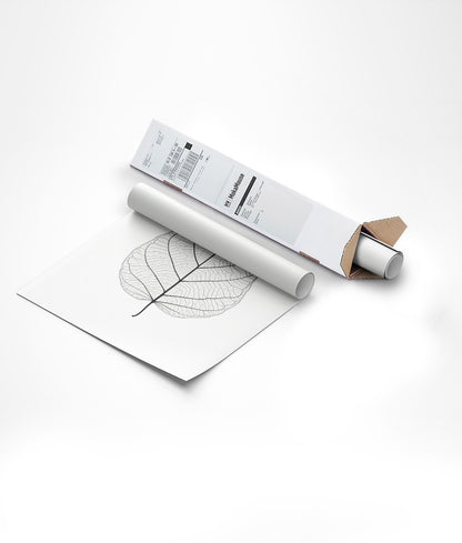 Illustration botanique d'une feuille translucide emballée dans un carton triangulaire.