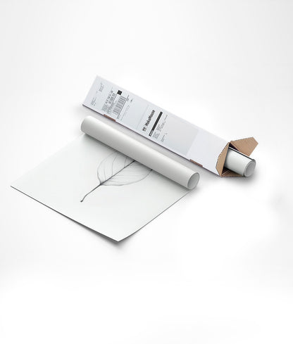 Illustration botanique d'une feuille en transparence, emballée dans un carton triangle.