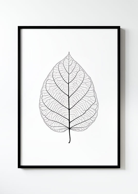 poster Illustration florale d'une feuille translucide dans un cadre noir.