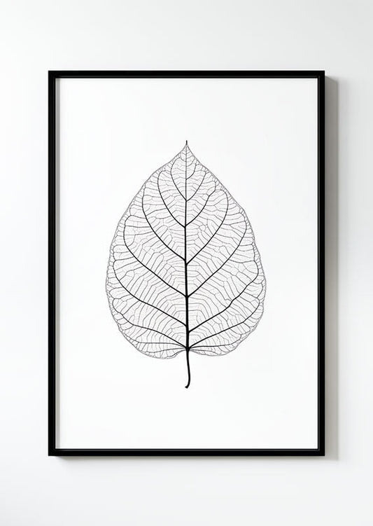 poster Illustration florale d'une feuille translucide dans un cadre noir.