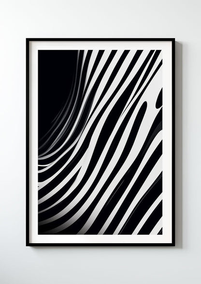 Zebra - série 1