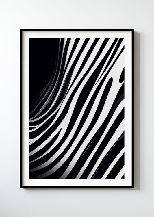 Zebra - série 1