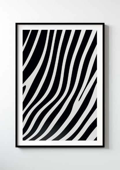 Zebra - série 2