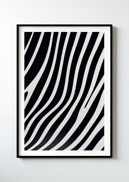 Zebra - série 2